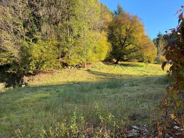 Terrain à Batir à vendre à Saint-Martin-Valmeroux dans le Cantal (15140), ref : 15060/863