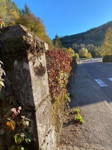 Terrain à Batir à vendre à Saint-Martin-Valmeroux dans le Cantal (15140), ref : 15060/863