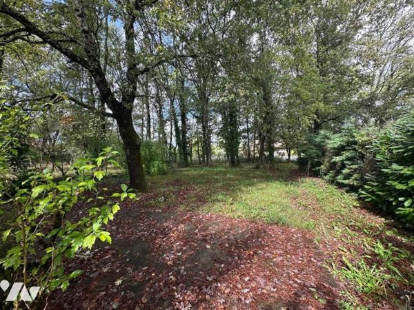 Appartement T4 avec jardin CAHORS