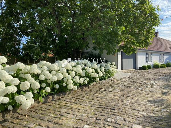 FERMETTE NEUFCHATEL HARDELOT Neufchâtel-Hardelot (62152)