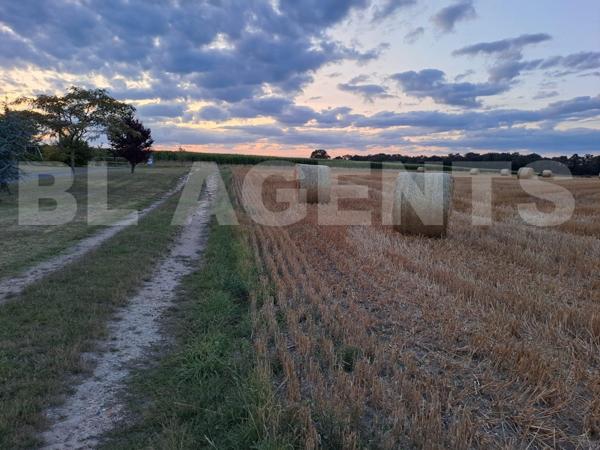 maison/villa 14 pièce(s) 325 m2