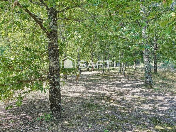 Maison trois chambres sur jolie parcelle de 4000 m²