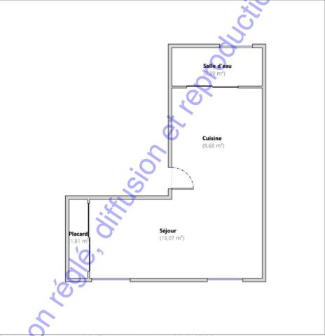 Appartement Le Kremlin Bicetre 1 pièce(s) 29 m2