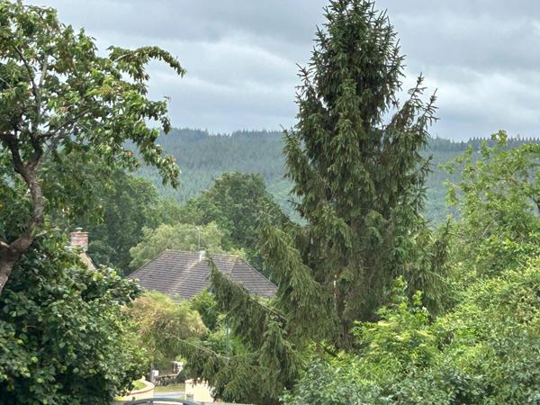 maison en pierre avec terrain