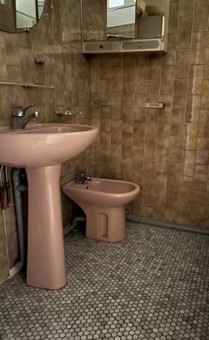 Rare sur la Côte des Basques !