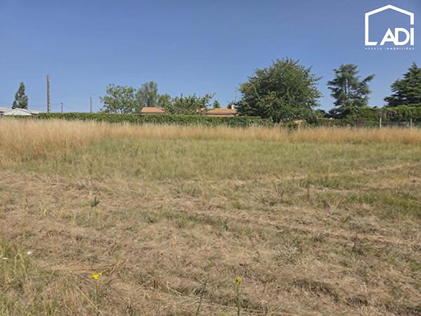 RARE À SAINT-MAIXENT-L'ÉCOLE !, Saint maixent l ecole 79400
