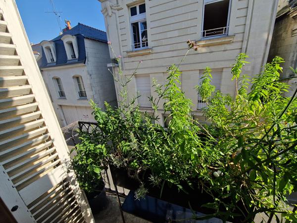 Appartement d'exception - Centre ville de Beaufort En Anjou 2 pièce(s)