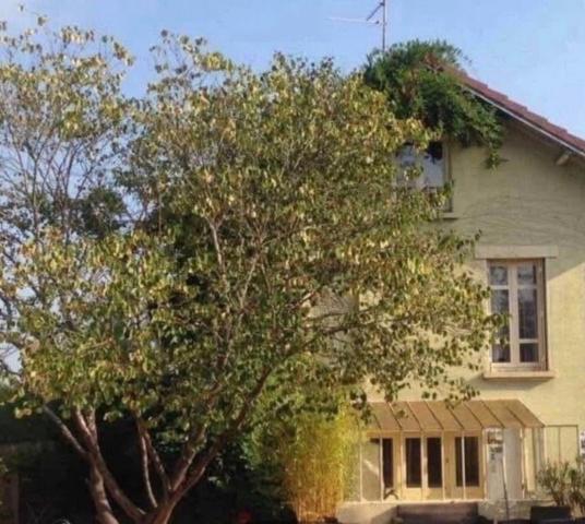 Maison à vendre 15 pièces avec 2 dépendances