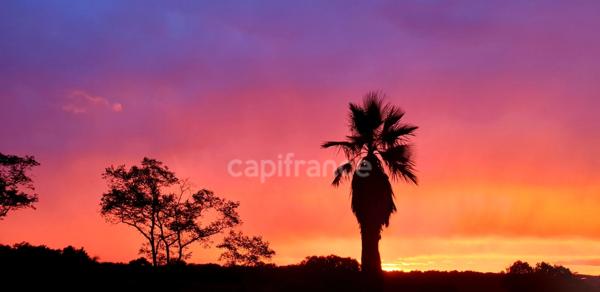 Domaine à vendre avec vue exceptionnelle à 360°, composé d'une bergerie réhabilitée, puis d'une grange et d'un kiosque à restaurer, sur 2,9 ha de terrain à LECTOURE (32)