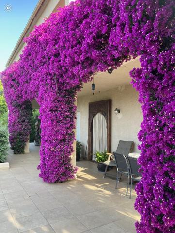 Alata (20167) Magnifique maison avec 2 appartements à Trova