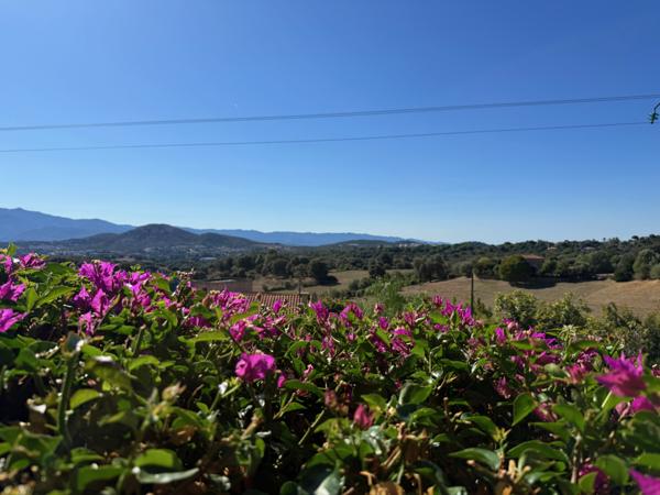 Alata (20167) Magnifique maison avec 2 appartements à Trova