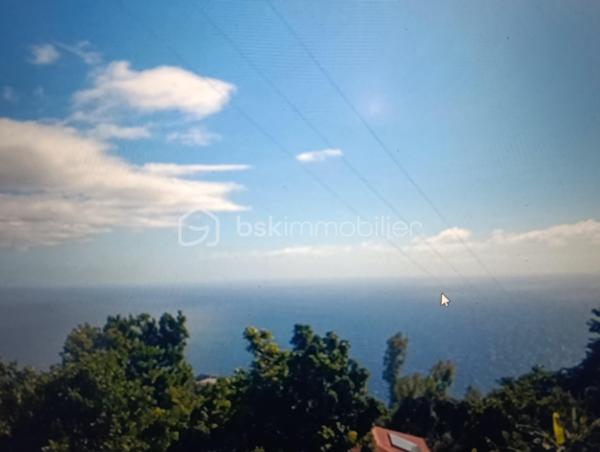 Terrain de 1 640 m²