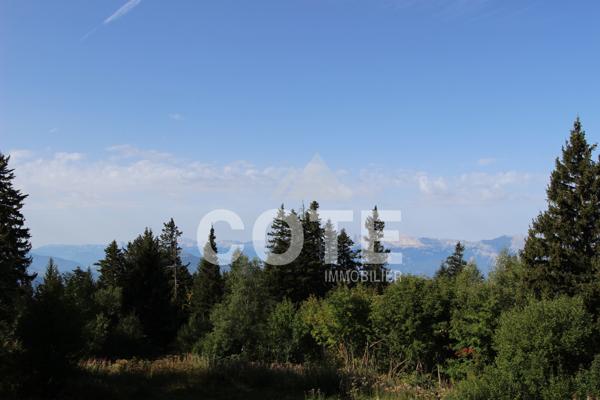 Studio coin montagne 22m2