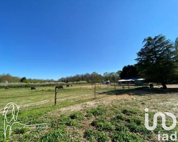 Maison à vendre 9 pièces 340 m² Villemer