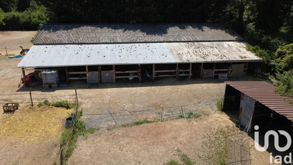 Maison à vendre 9 pièces 340 m² Villemer