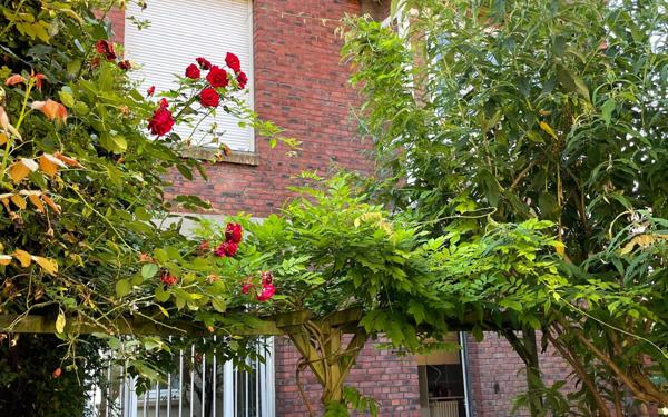 Maison à vendre    6 pièces •  Chauny