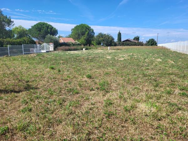 Vente / Terrain constructible