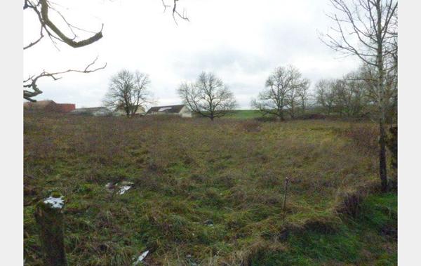 Vente Terrain Constructible Blamont   