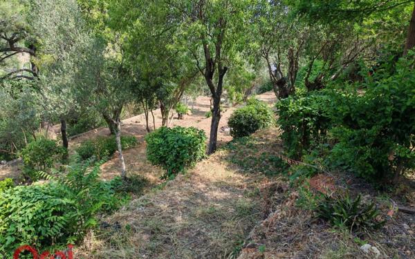 Maison à vendre    10 pièces •  Toulon