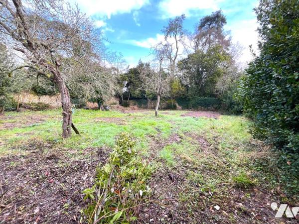 MOUTIERS LES MAUXFAITS a 2 pas des Halles - TERRAIN A BATIR