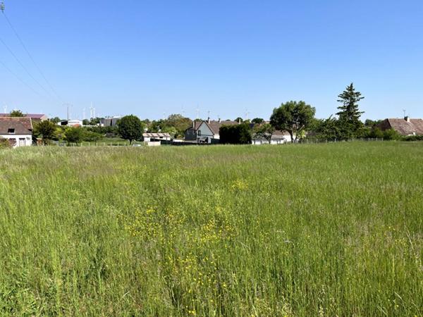 Terrain constructible pour partie, 7090 m2