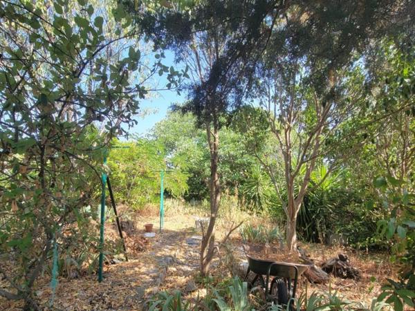 MARSEILLE (13013)  LA BATARELLE HAUTE - Exclusivité - NUE PROPRIETE - Maison avec jardin