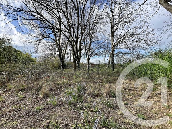 Maison à vendre  4 pièces - 116 m2 ARGENTAN - 61