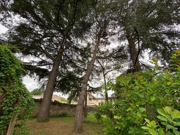 A Saint Macaire, proche Langon : bel ensemble immobilier , piscine, gite... 15 pièces 700 m2