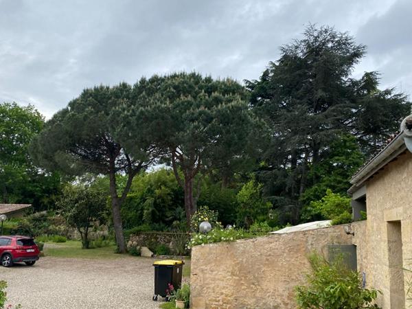 A Saint Macaire, proche Langon : bel ensemble immobilier , piscine, gite... 15 pièces 700 m2