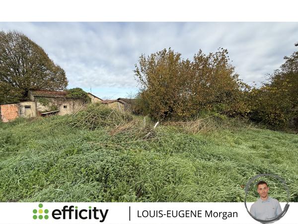 Maison 1 pièce - 41 m² Exclusivité efficity