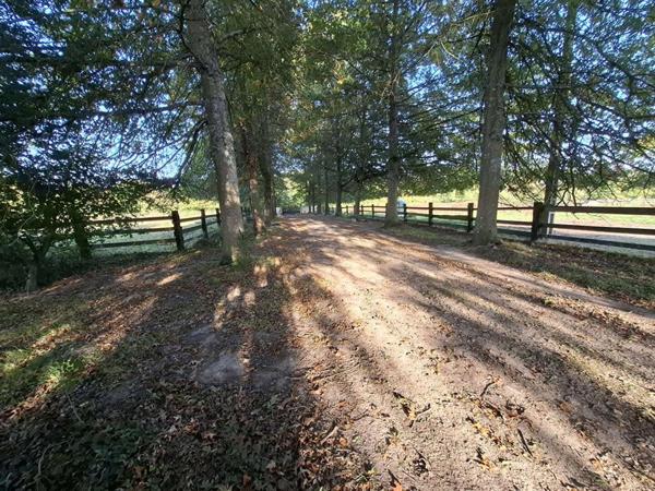 Propriété équestre Proche Mortagne Au Perche 195 m2  avec 30 hectares de terrain