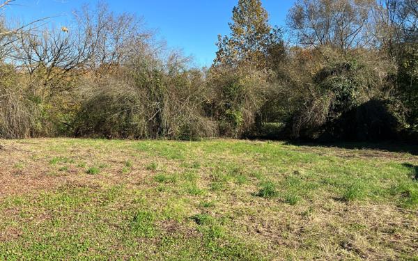 Terrain à vendre    Tartas