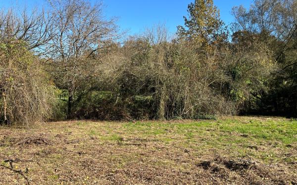 Terrain à vendre    Tartas