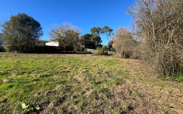 Terrain à vendre    Tartas