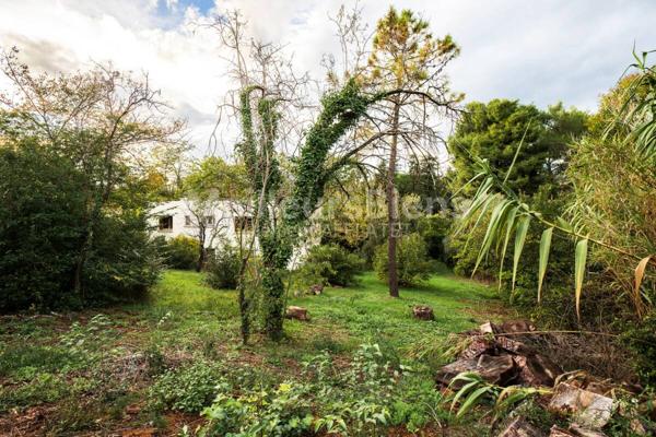 Vente Maison individuelle + terrain divisible 2000m² au plan des quatre seigneurs 34000