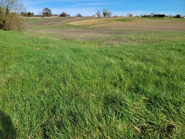 Vente / Terrain constructible