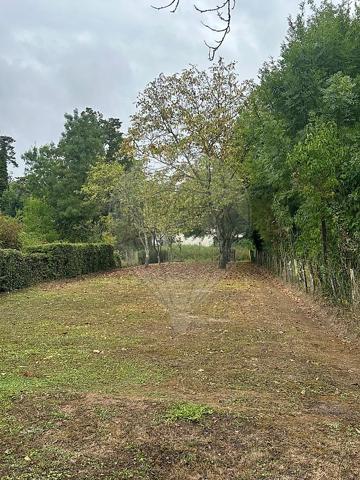 Maison  en vente - Saône-et-Loire - 71