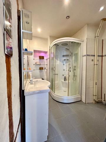 A VENDRE MAISON DE MAITRE DIVISE EN TROIS APPARTEMENTS + GARAGE + JARDIN