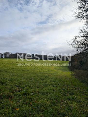 Maison à rénover de 93 m² avec 1 hangar et 1 garage et 6 hectares de terrain
