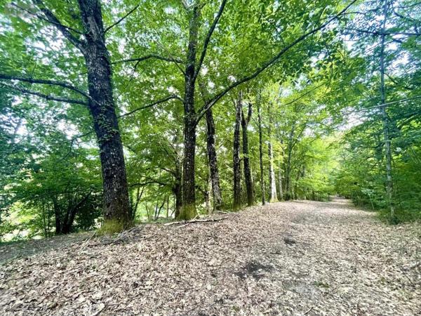 Maison à vendre à Gabriac en Lozère (48110), ref : 48032-186