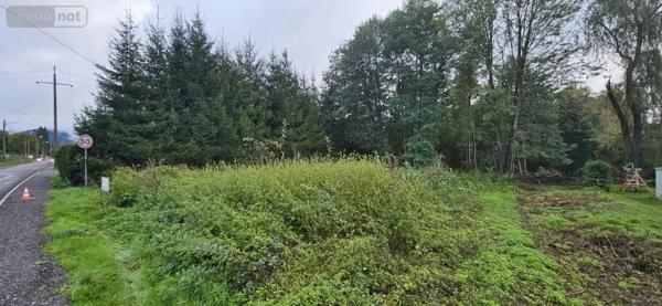 Achat - Terrain à bâtir Raon-l'Étape 88110 9300 m 2