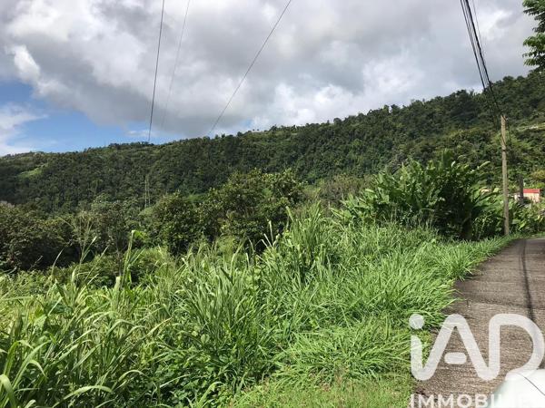 Terrain à vendre 6 300 m² Gourbeyre