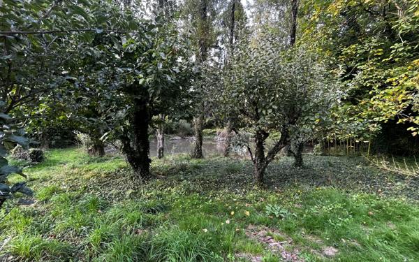 Terrain à vendre    Limoges