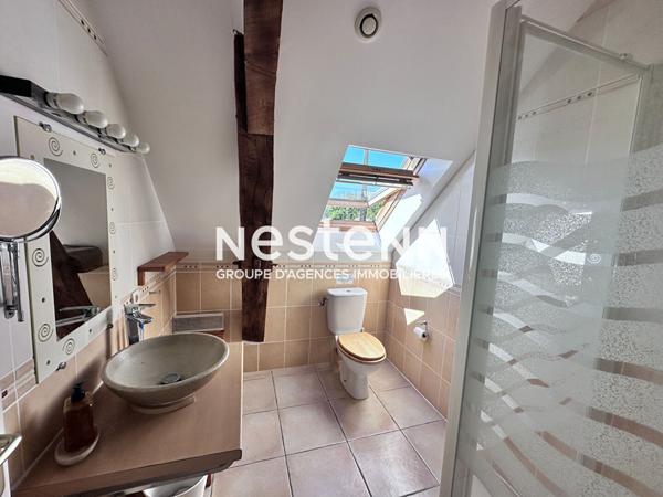Vente propriété de charme dans la Vallée du Loir avec maison principale de 104 m² et gîte indépendant de 44 m², grand terrain verdoyant à Vaas (72500)