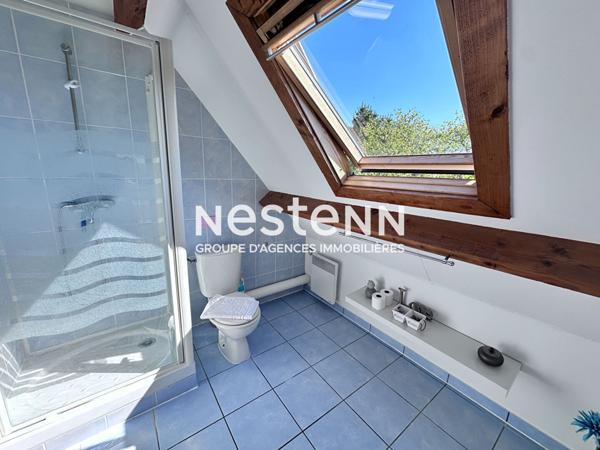 Vente propriété de charme dans la Vallée du Loir avec maison principale de 104 m² et gîte indépendant de 44 m², grand terrain verdoyant à Vaas (72500)