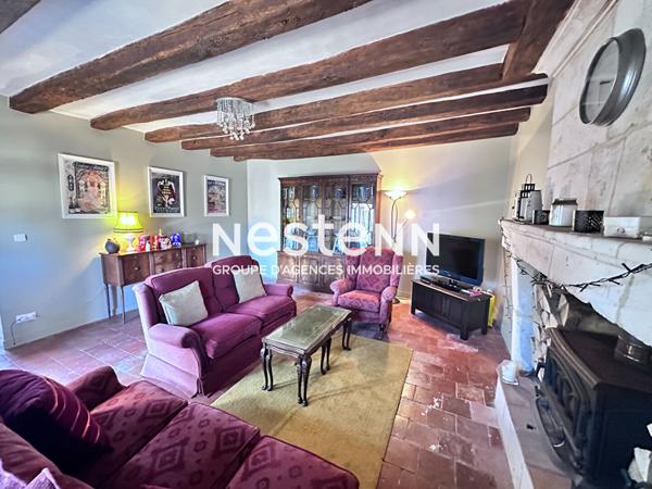 Vente propriété de charme dans la Vallée du Loir avec maison principale de 104 m² et gîte indépendant de 44 m², grand terrain verdoyant à Vaas (72500)