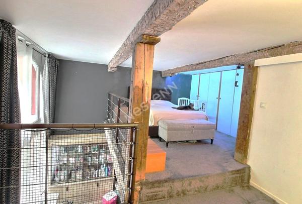 Appartement T2 bis / T3 en duplex - Secteur Les Carmes Saint-Étienne - Double destination : habitation et professionnelle