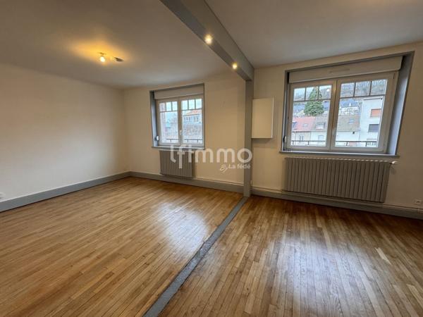appartement centre ville epinal