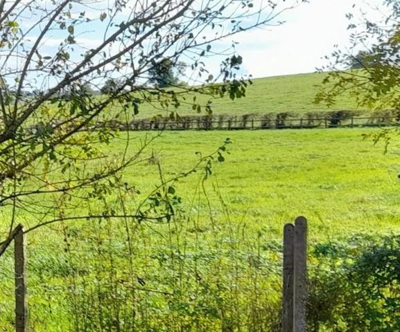 Maison à vendre 6 pièces GUIPY (58) 115m 2 - diverses dépendances - terrain 697 m2