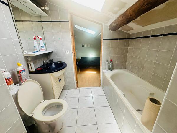 Buzet-sur-tarn - 9 pièce(s) - 196 m²